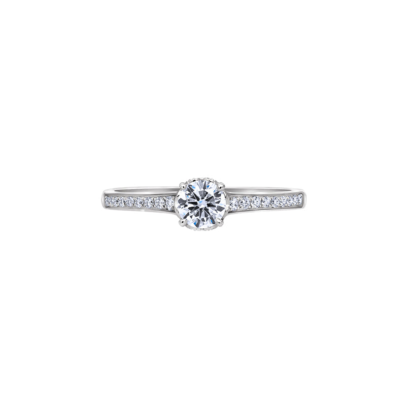 Giorgia Rose  <p>  Engagement Ring </p> <p> 18k white gold and diamond </p> <p> <FONT SIZE=2>  DRD1804R02MH18W </font> </p>
