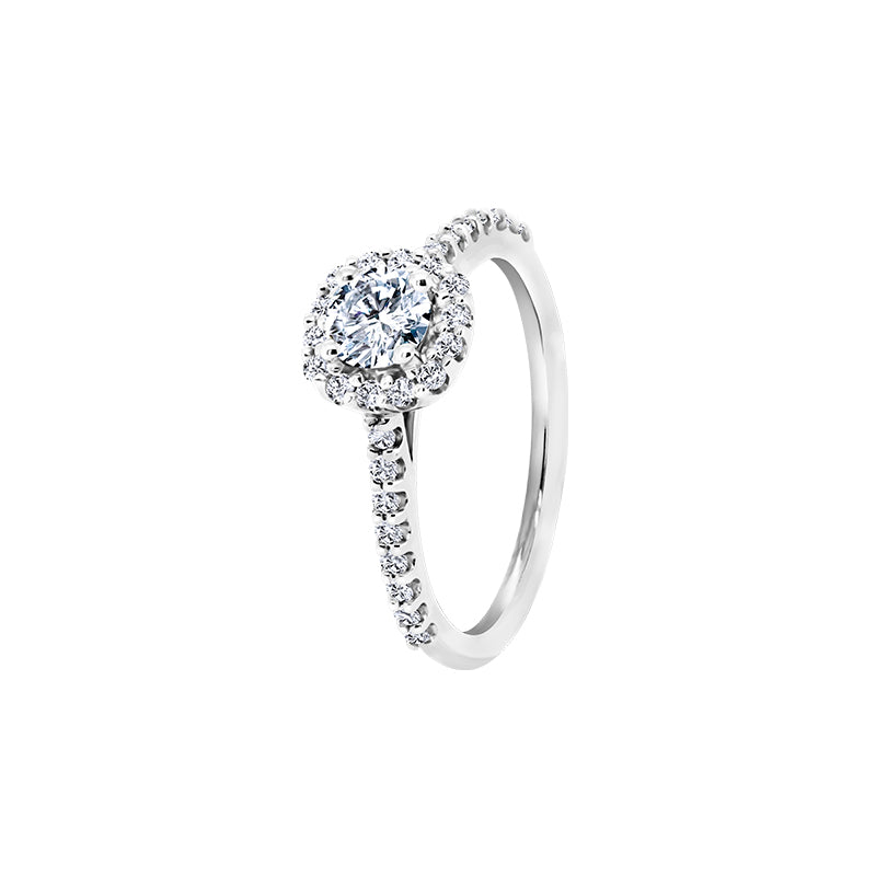 Giorgia Rose  <p>  Engagement Ring </p> <p> 18k White gold, diamond </p> <p> <FONT SIZE=2>  CGR004 </font> </p>