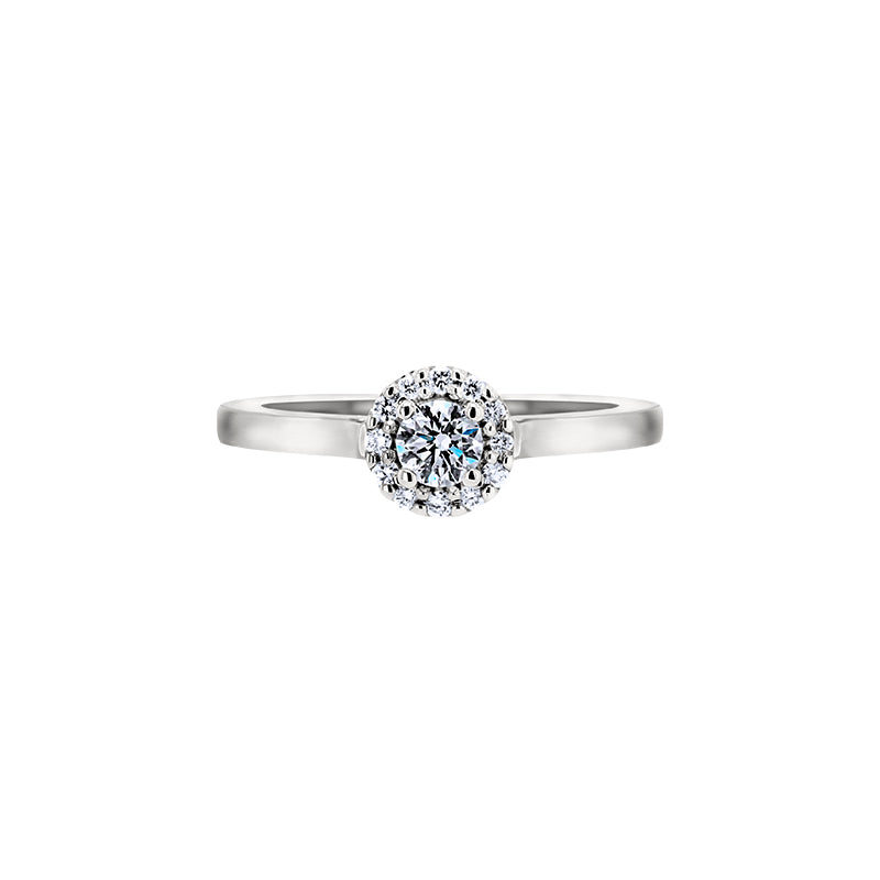 Giorgia Rose  <p>  Engagement Ring </p> <p> 18k white gold and diamond </p> <p> <FONT SIZE=2>  Cgr001 </font> </p>