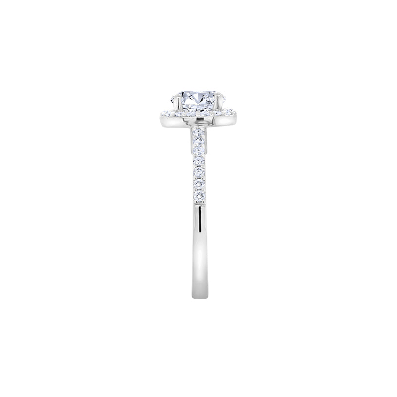 Giorgia Rose  <p>  Engagement Ring </p> <p> 18k White gold, diamond </p> <p> <FONT SIZE=2>  CGR005 </font> </p>