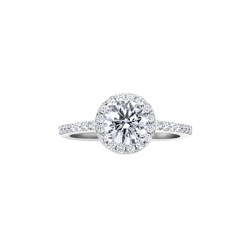 Giorgia Rose  <p>  Engagement Ring </p> <p> 18k White gold, diamond </p> <p> <FONT SIZE=2>  CGR005 </font> </p>