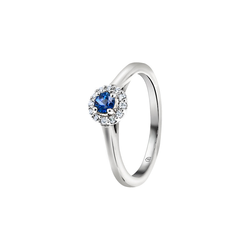 Giorgia Rose  <p>  Engagement Ring </p> <p> 18k White gold and Sapphire </p> <p> <FONT SIZE=2>  Cgr001 </font> </p>